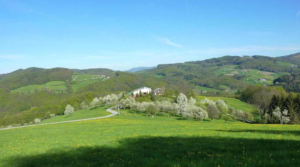 Goelsenhof - Fam. Buechinger * Wald (Lower Austria)
