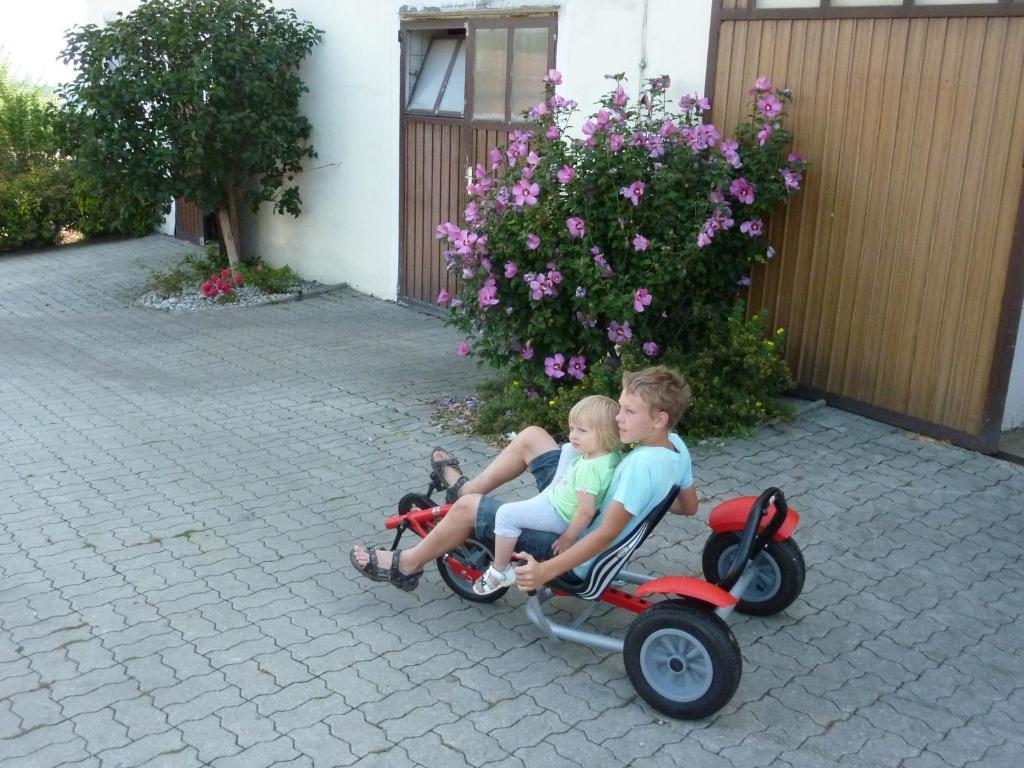 Goelsenhof - Fam. Buechinger Séjour à la ferme Wald (Lower Austria)