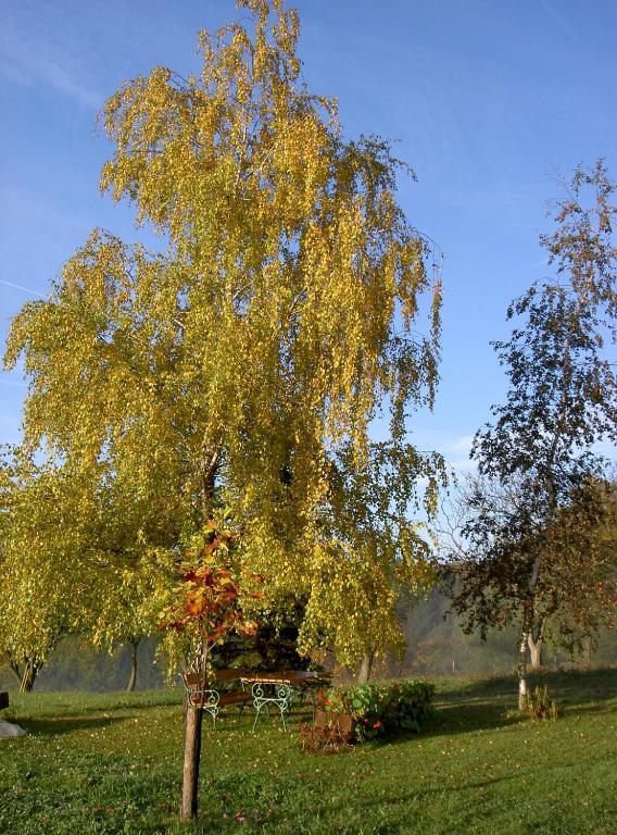 Farma Goelsenhof - Fam. Buechinger *